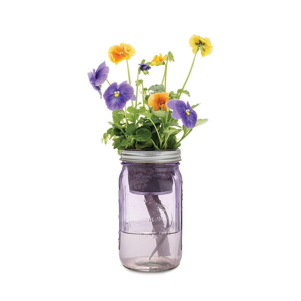 Mason Jar Indoor Flower Garden | window garden ...