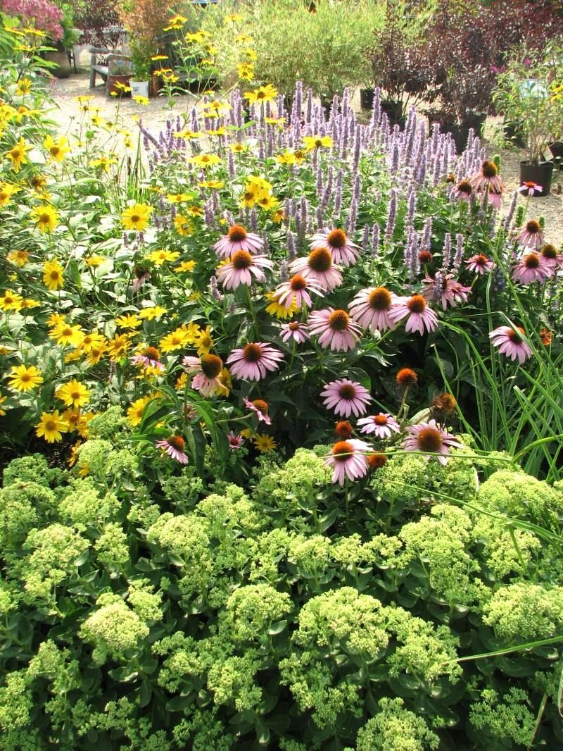 landscape design ideas new england bird house ecological landscaping