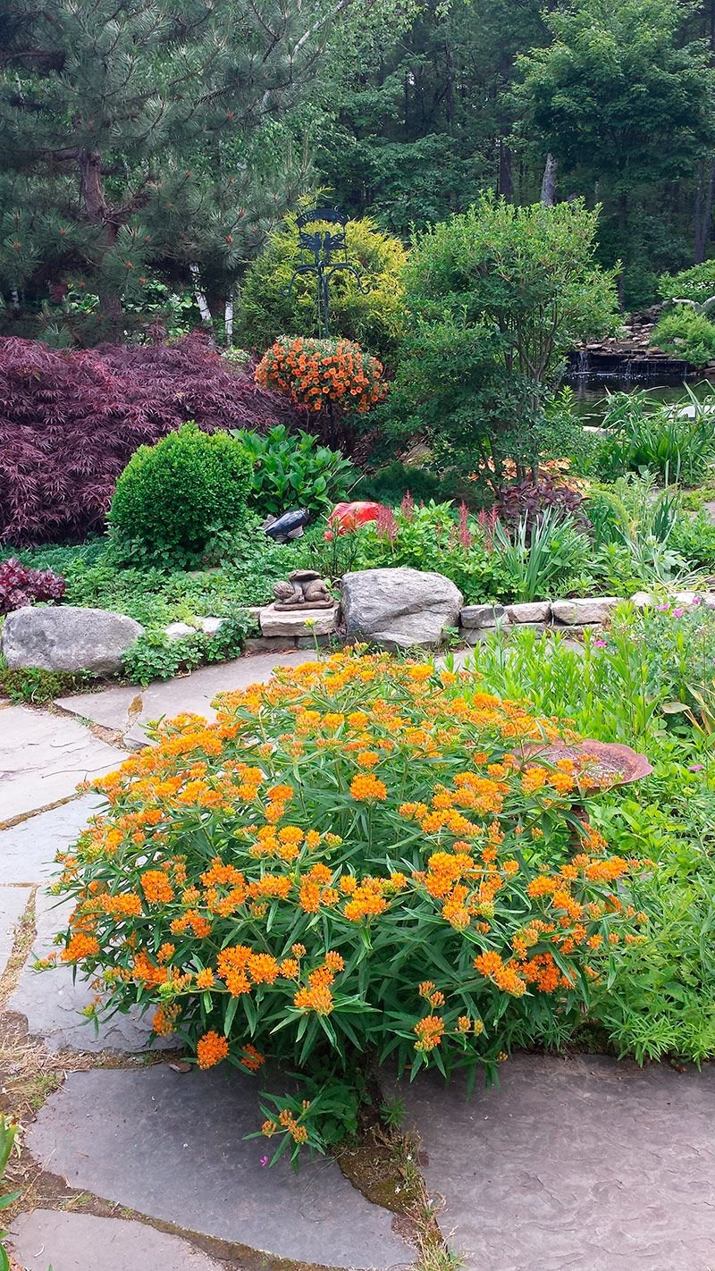 a new england property transformed | great landscaping and gardening