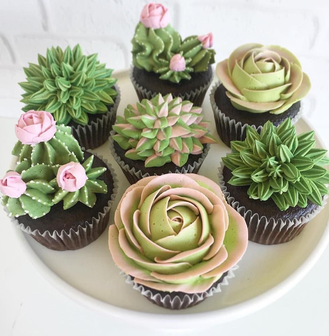 pin by shelley rhoads on chow | succulent cupcakes, cake, cupcakes