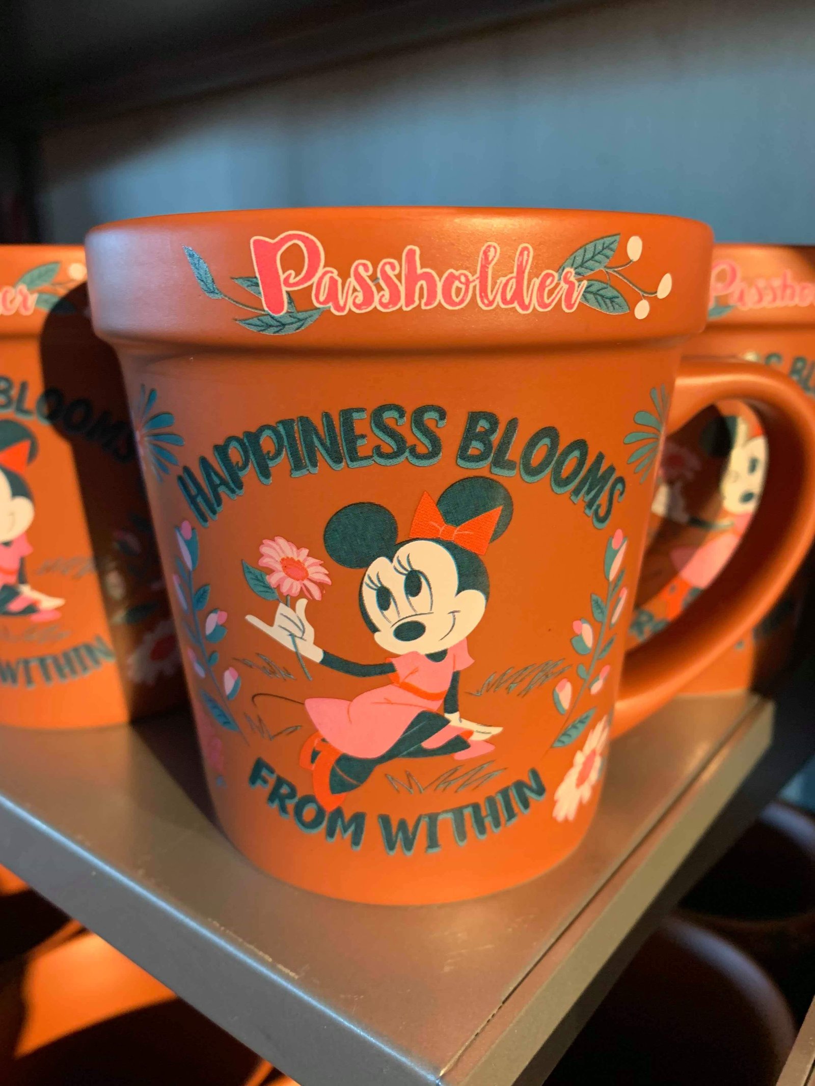 photos: new epcot flower & garden festival annual passholder merch