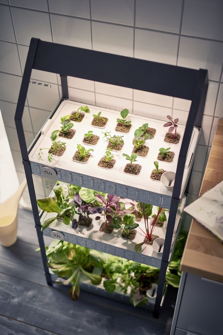 New from Ikea: A Hydroponic Countertop Garden Kit ...