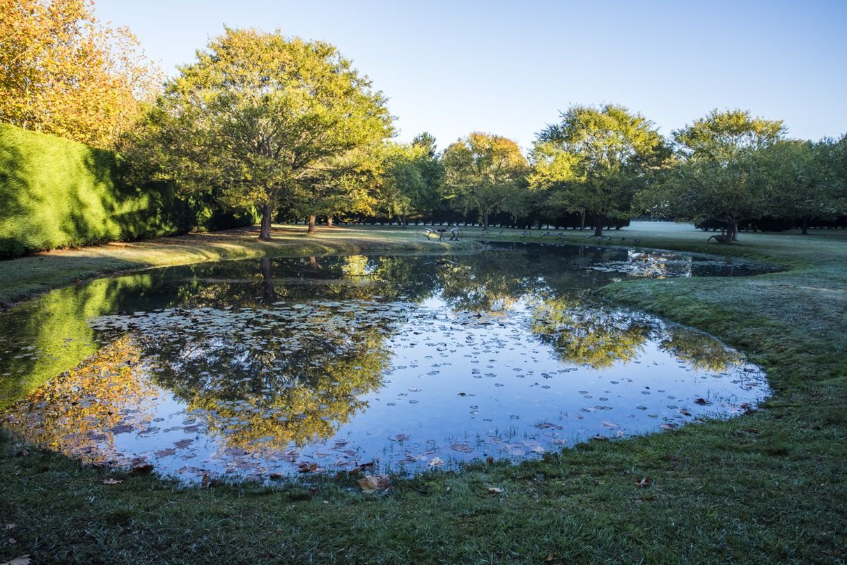 #peterfudge a natural lake in one of the rooms of this
