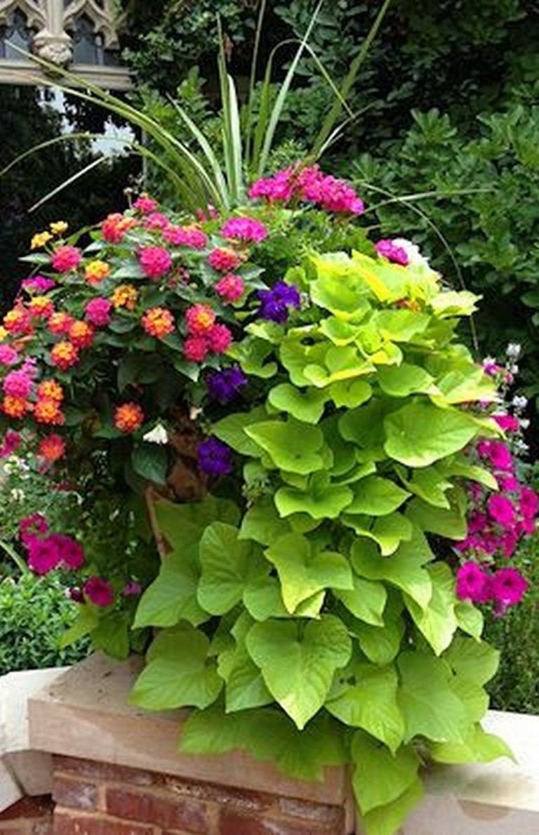 the secret to container gardens | garden containers | container