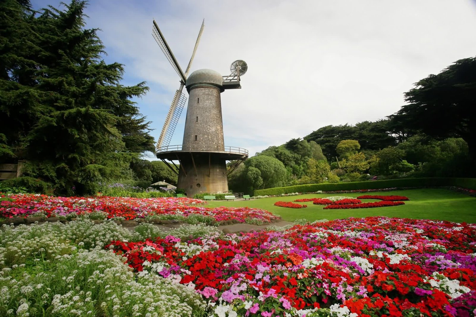 dutch windmill and queen wilhelmina tulip gardens, golden gate park