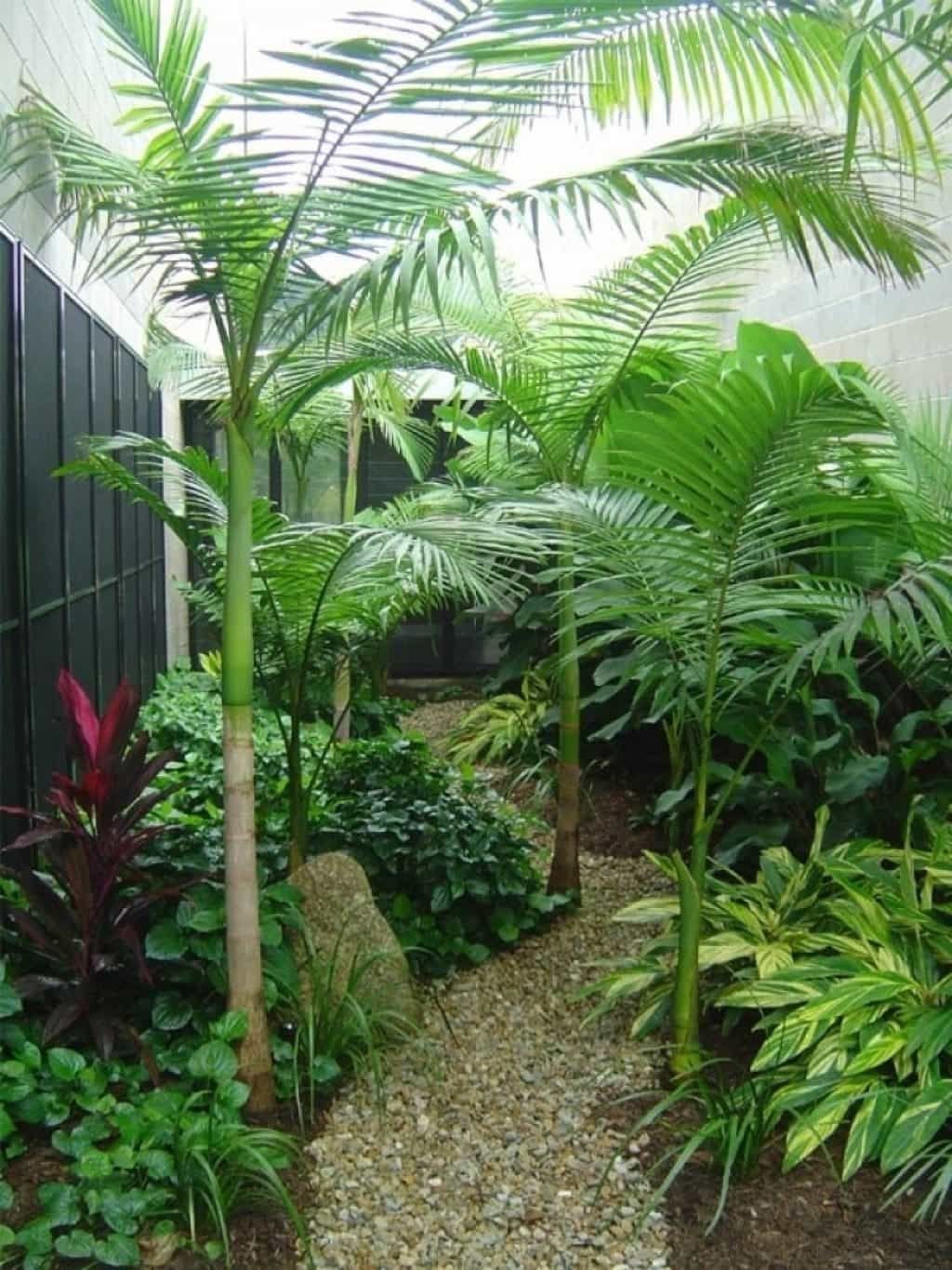 small tropical landscaping ideas | gardening | tropical backyard