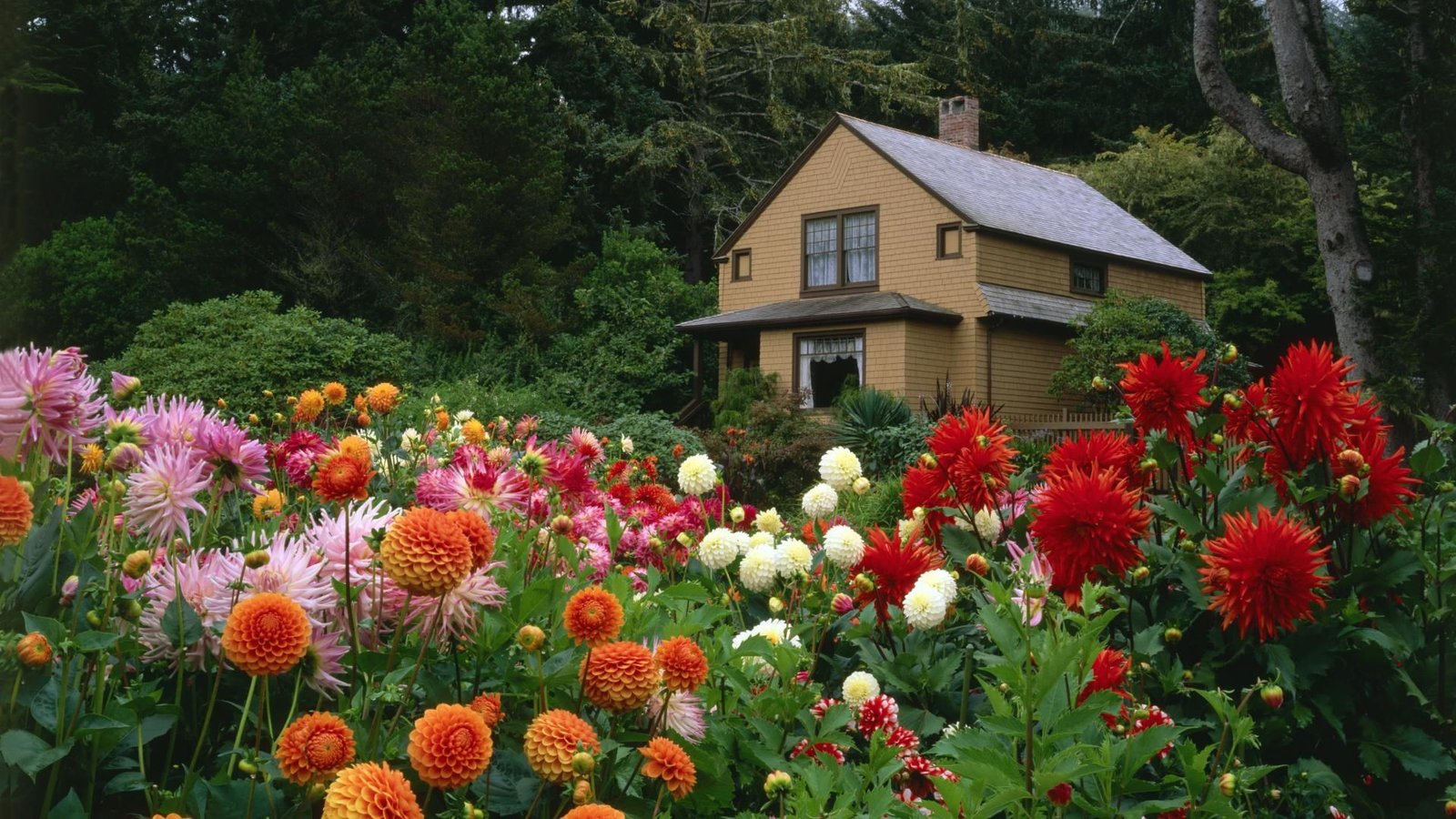 garden house | the nature | beautiful flowers garden, flower garden