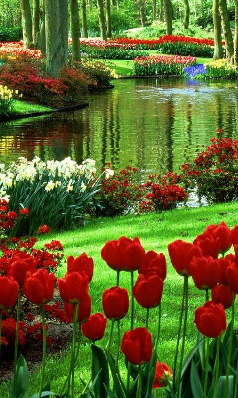 top 10 plants to perk up the fall garden | god's creation & wonders