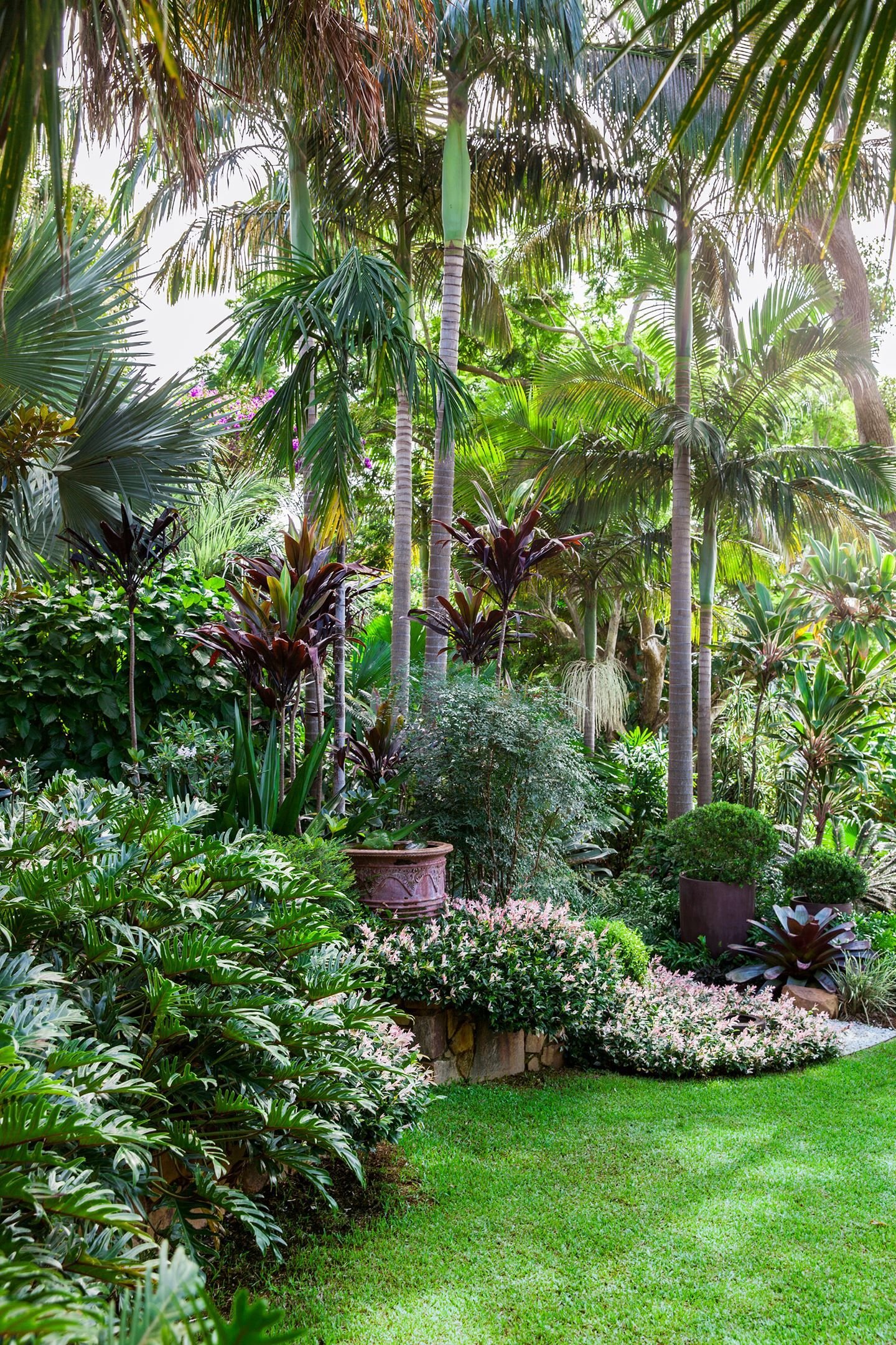 a tropical oasis on the nsw north coast | front yard of florida