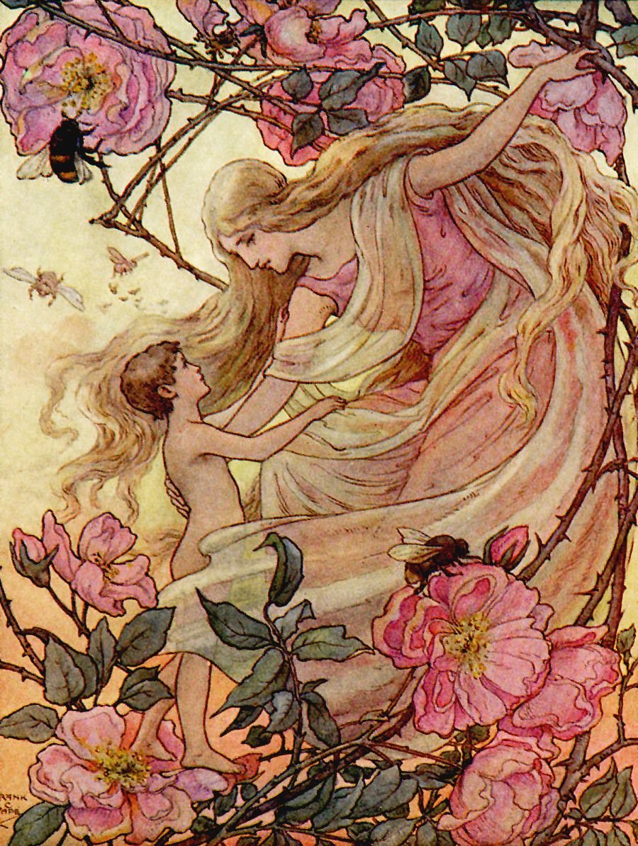 the rose greets the child. illustration by frank c. papé from “the