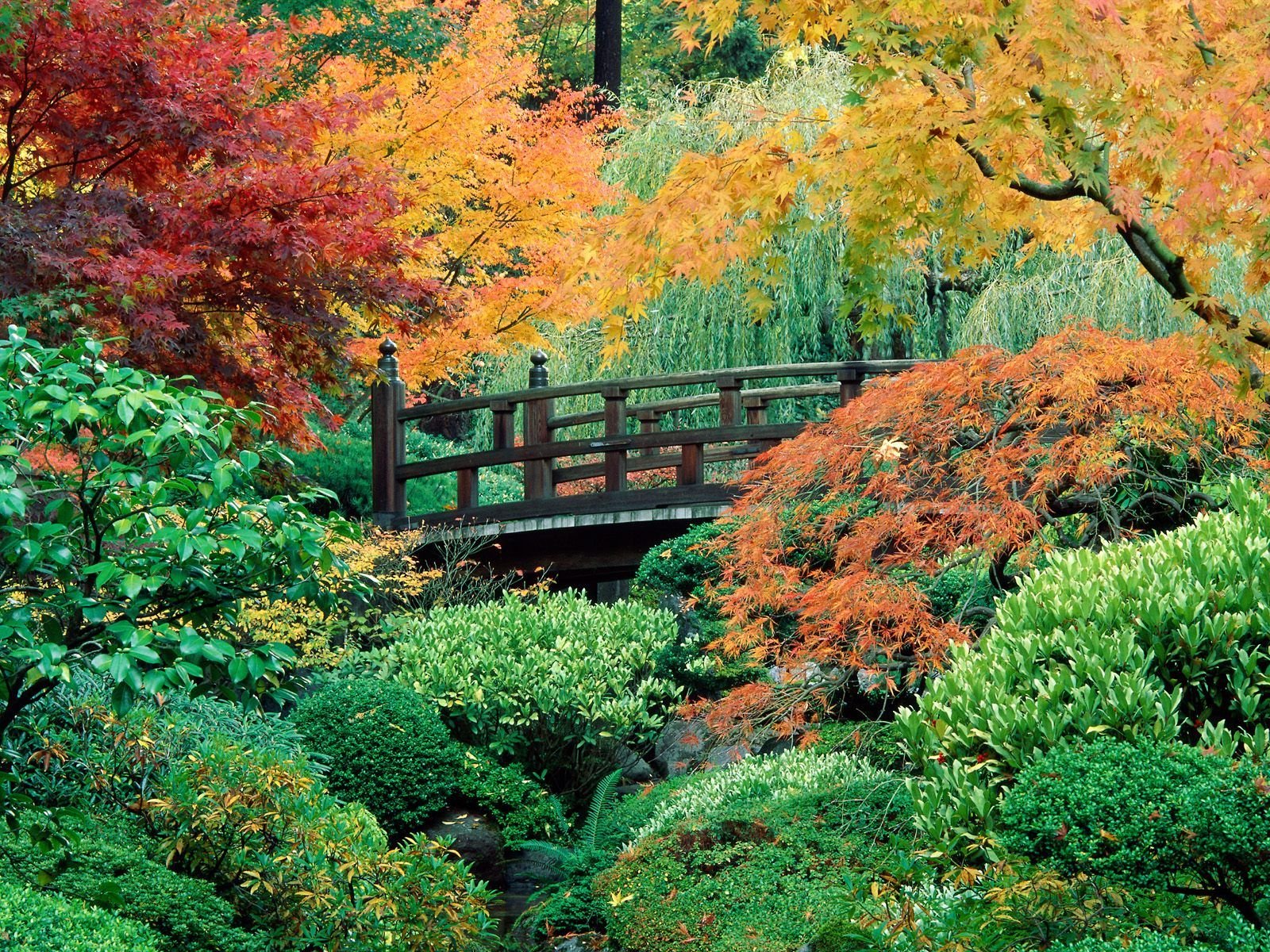 washington park portland or | japanese-garden-washington-park
