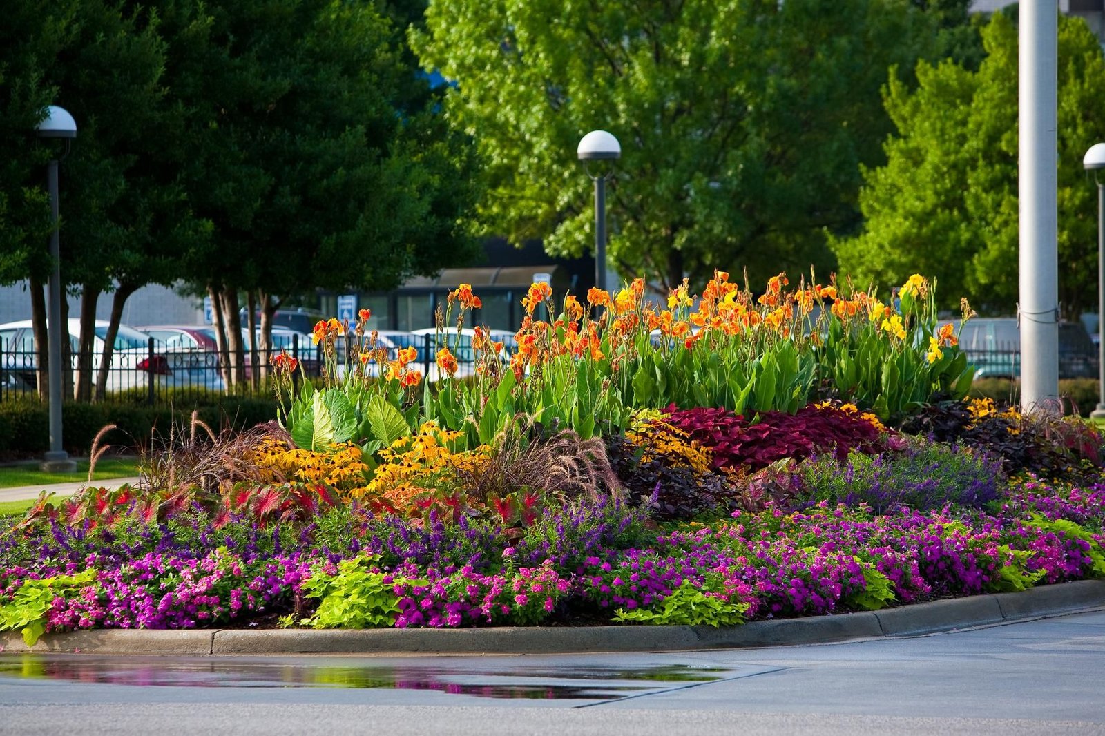 perennial flower garden design | floriculture | blackjack