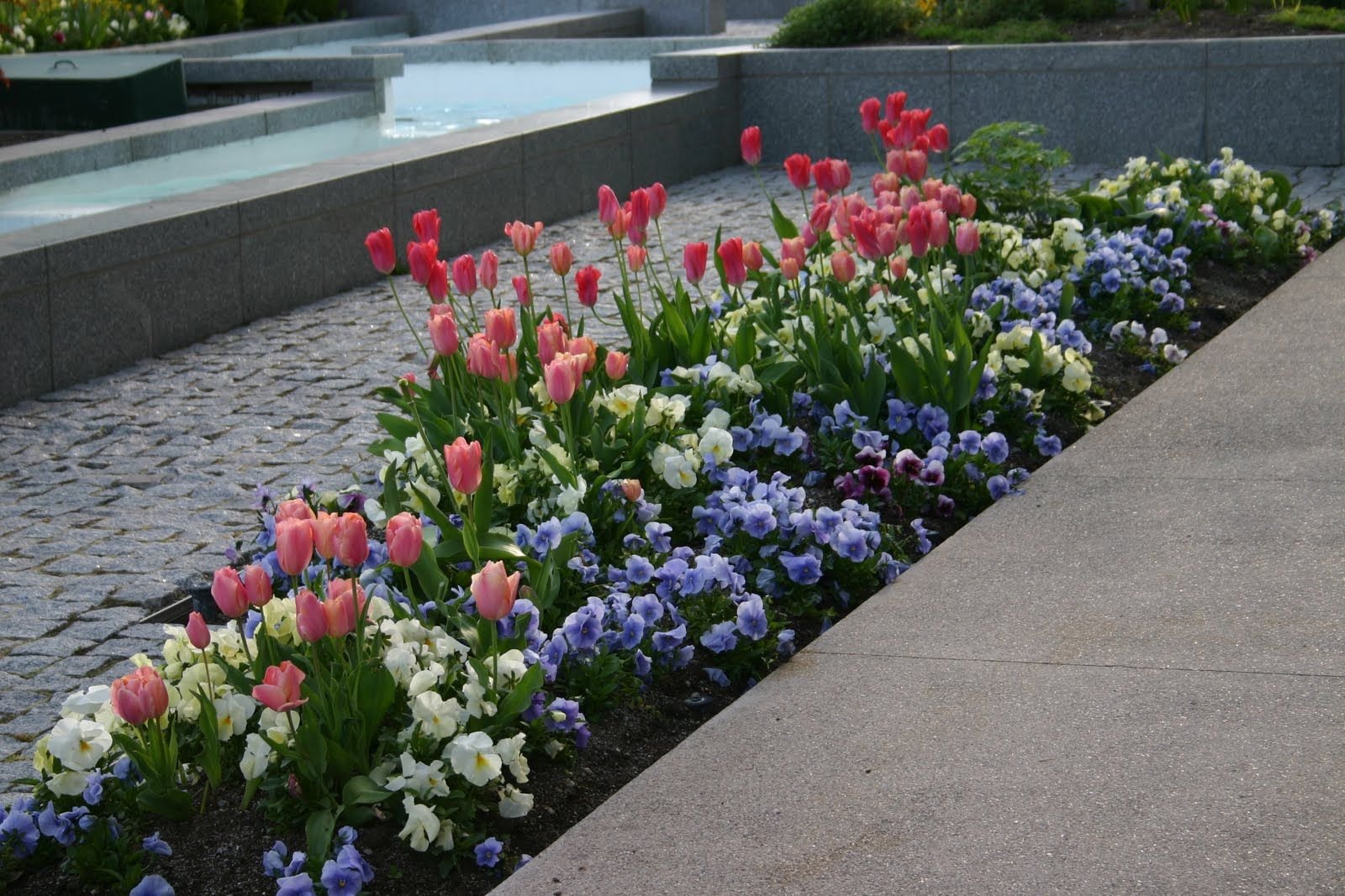 long, narrow bed design | flower bed palette | narrow garden, flower