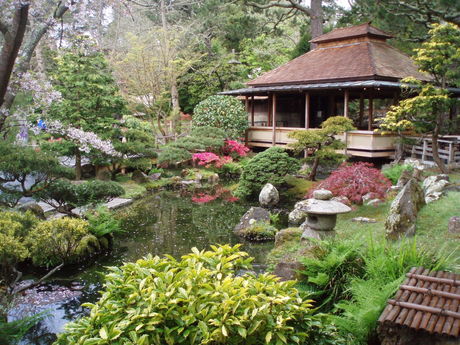 japanese tea garden, san francisco | gardens - japanese/ chinese