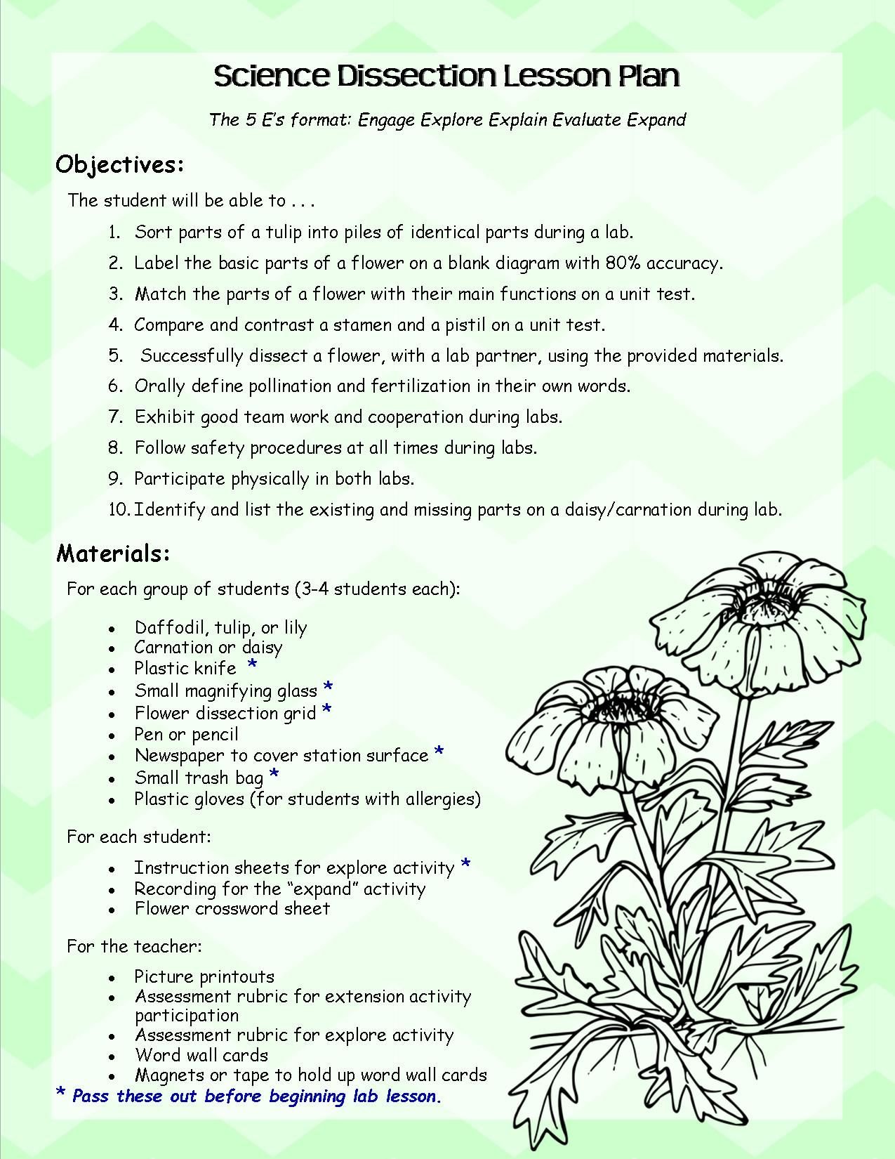 parts of a flower dissection lab lesson plans and handouts | mrs