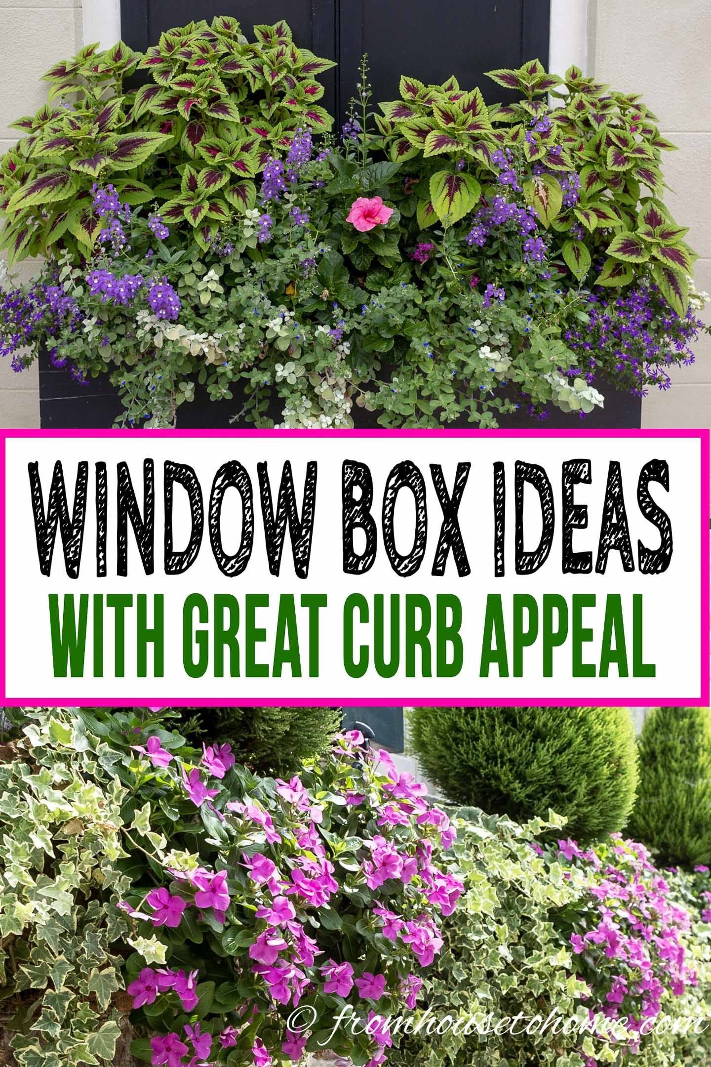 flower box ideas: 10 ways to create beautiful window boxes | home
