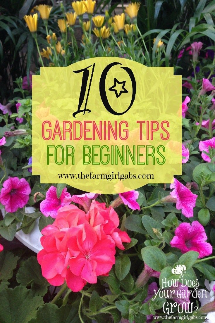 10 gardening tips for beginners | on the blog | beautiful flowers