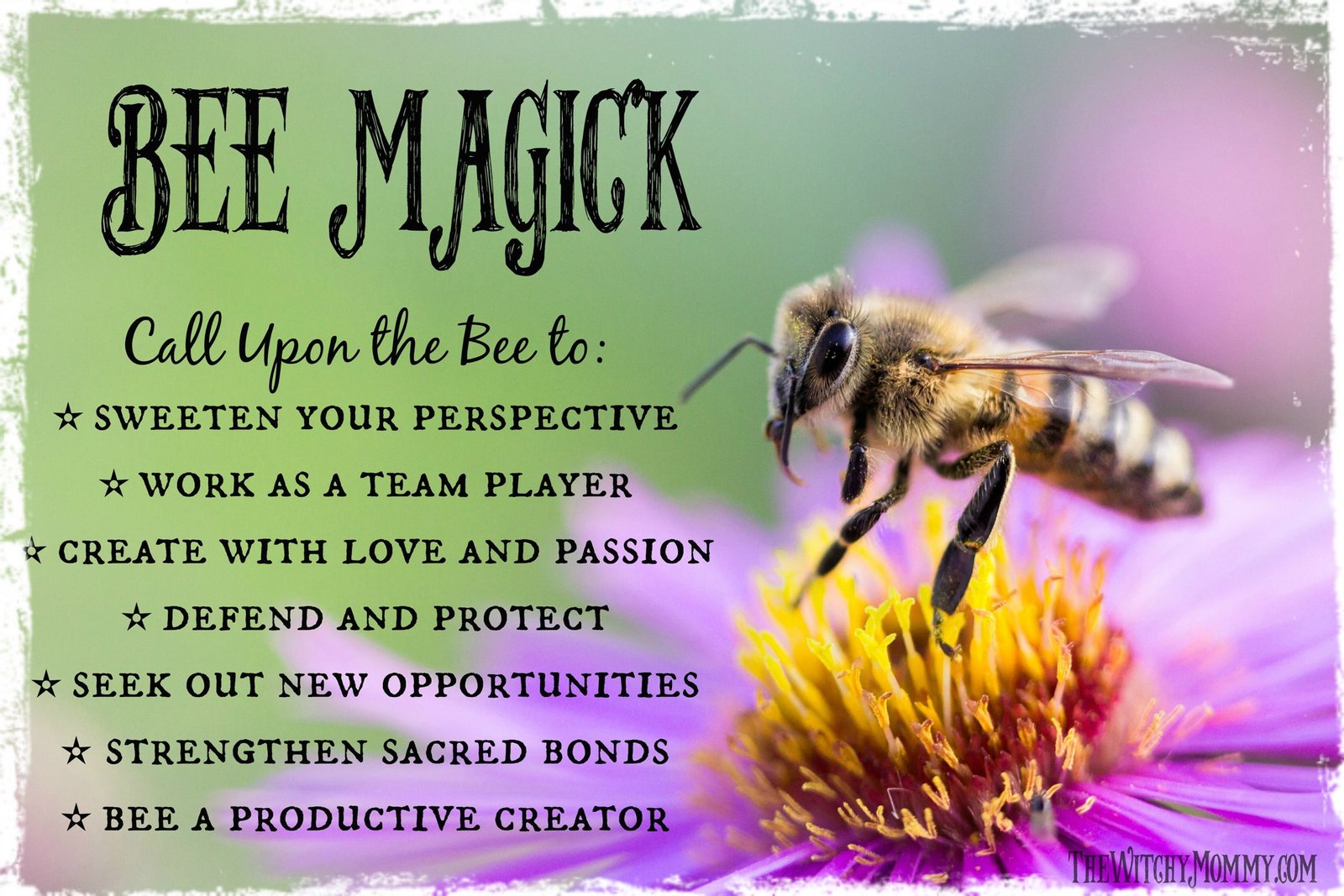 bee magick, bee totem, animal spirit guide, bee messenger, bee