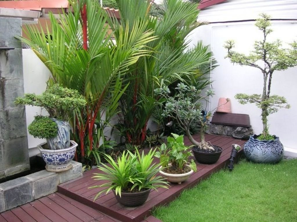 exterior: great tropical garden border design from the modern and