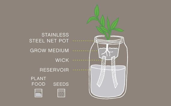 Mason Jar Flower Kit Self-Watering Planter for by ...