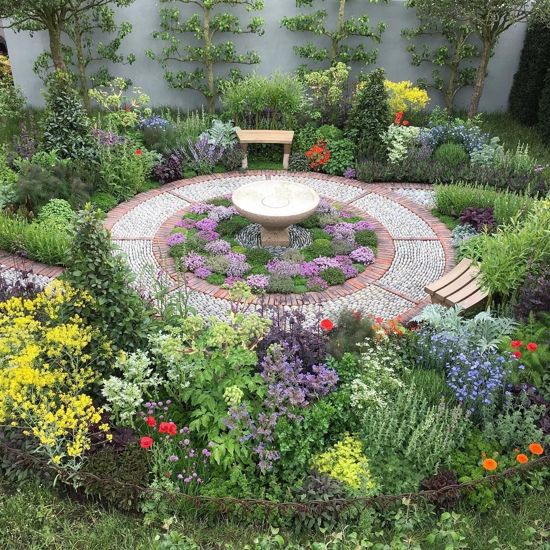 top 10 plants to perk up the fall garden | plants | potager garden