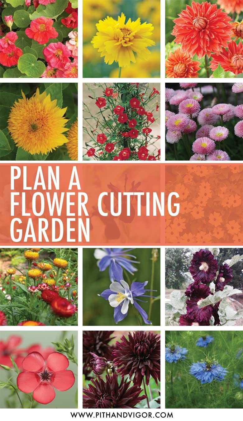 a cutting flower garden plan | florals, floristry, cutting gardens