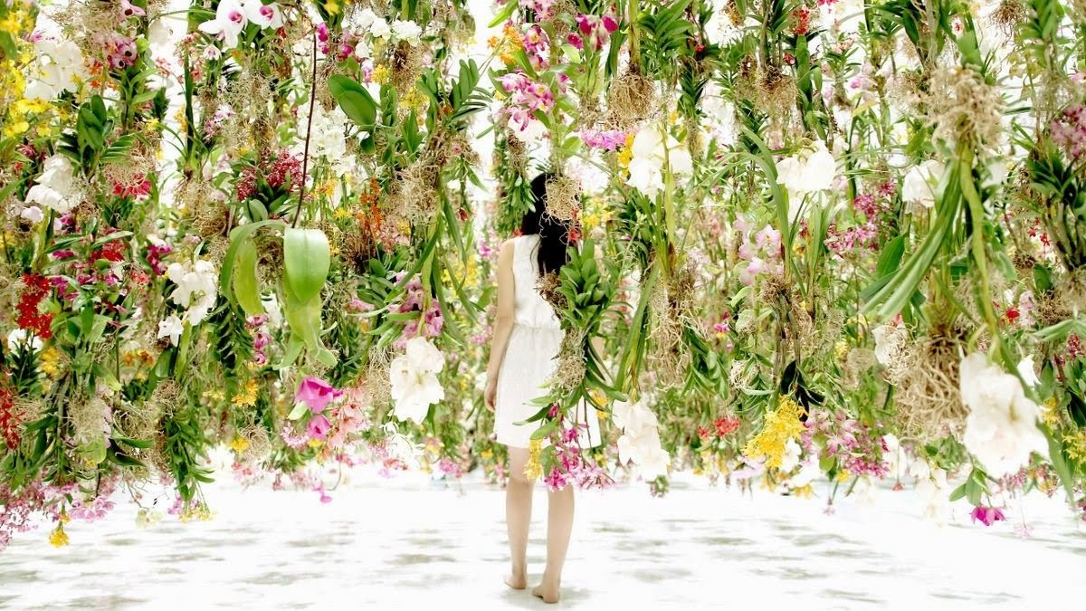 floating flower garden is the latest installation by teamlab, a