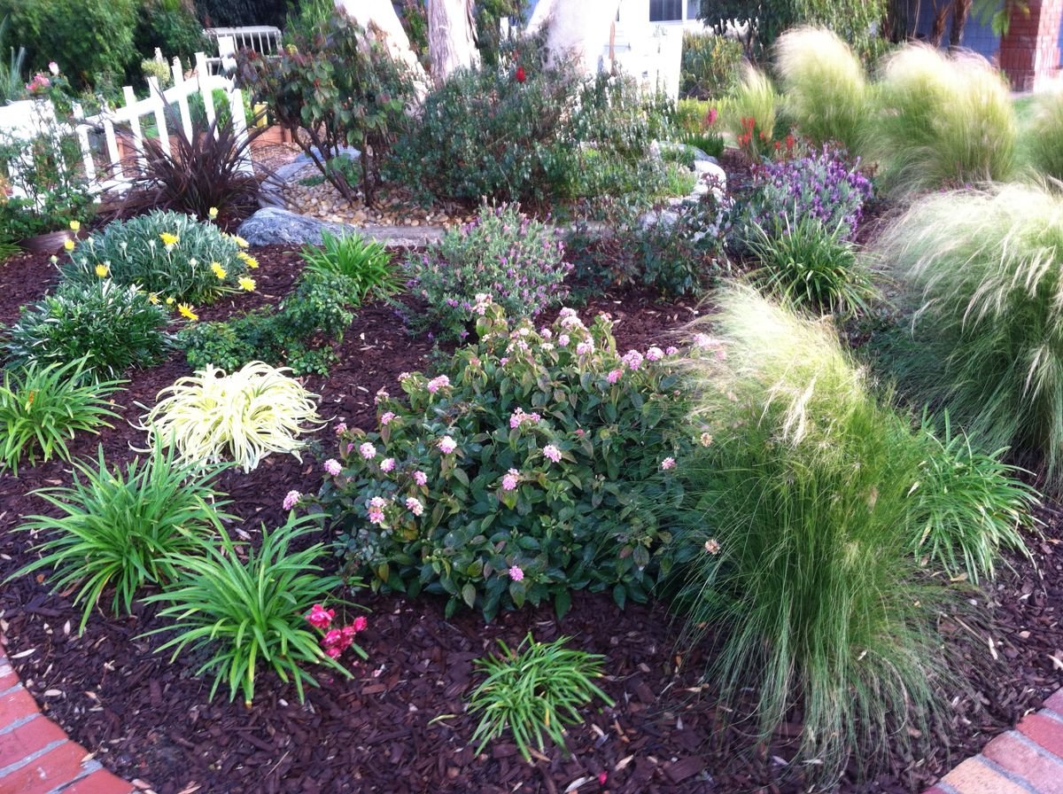 23 best no lawn images on pinterest | backyard ideas, garden ideas