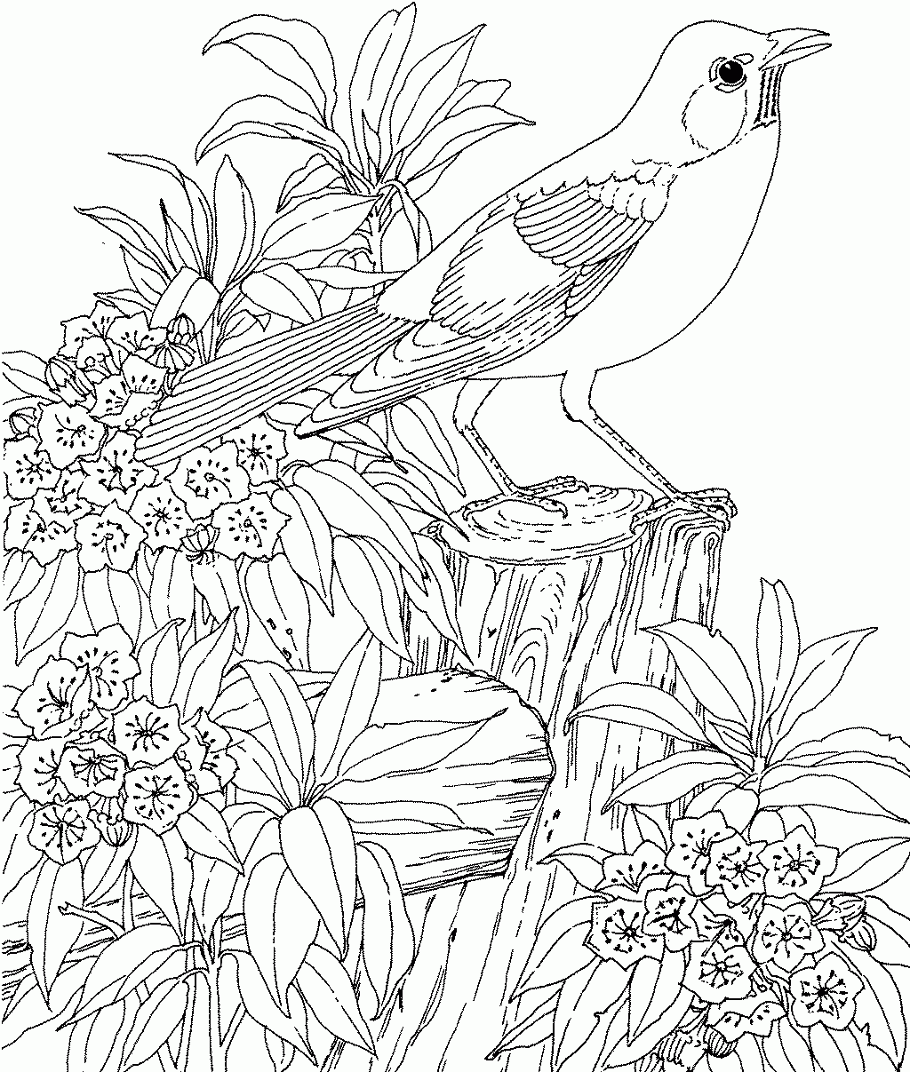flowers archive. garden flowers coloring pages picture, image, photo