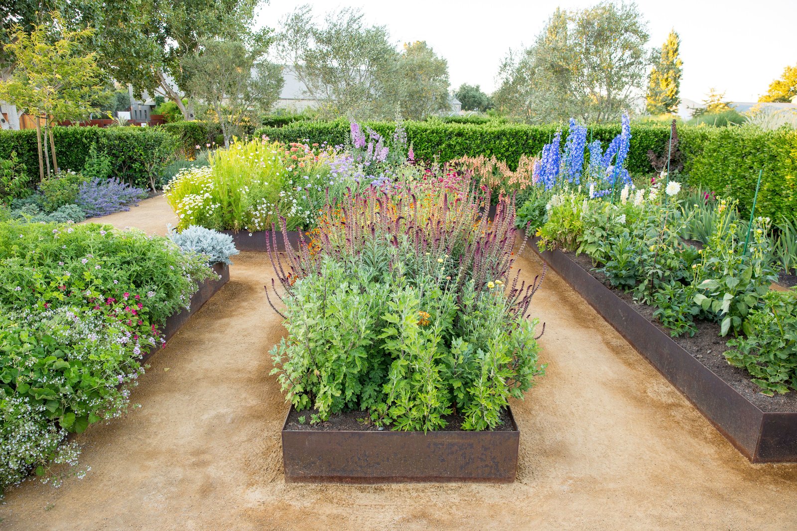 grow a great cutting garden | garden and landscaping | planting