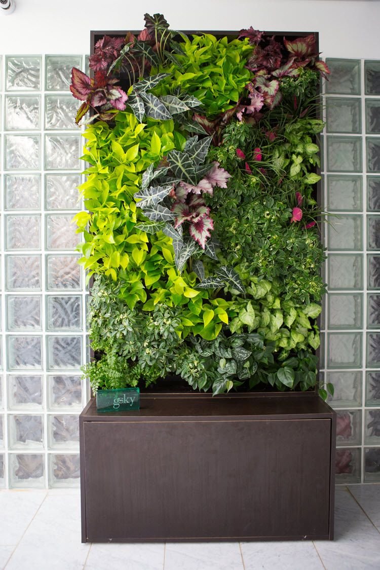 smart wall® cabinet | vertical gardening | vertical garden wall
