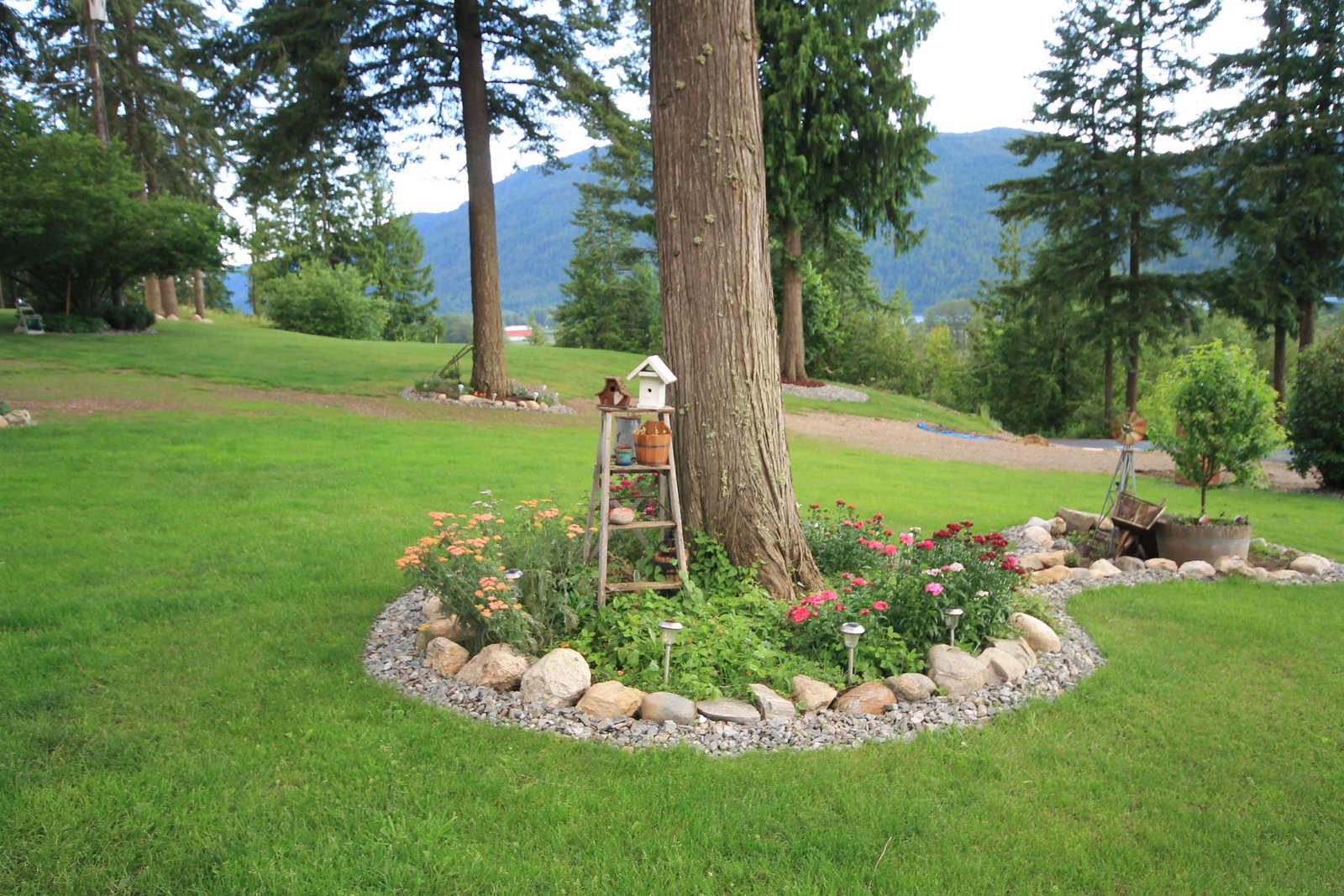 attempt at a flower garden creation with ideas from pinterest