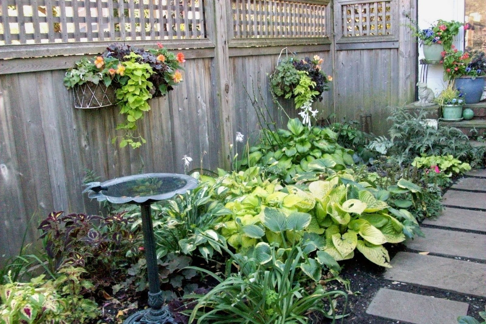 narrow side yard landscaping ideas : small side yard landscaping