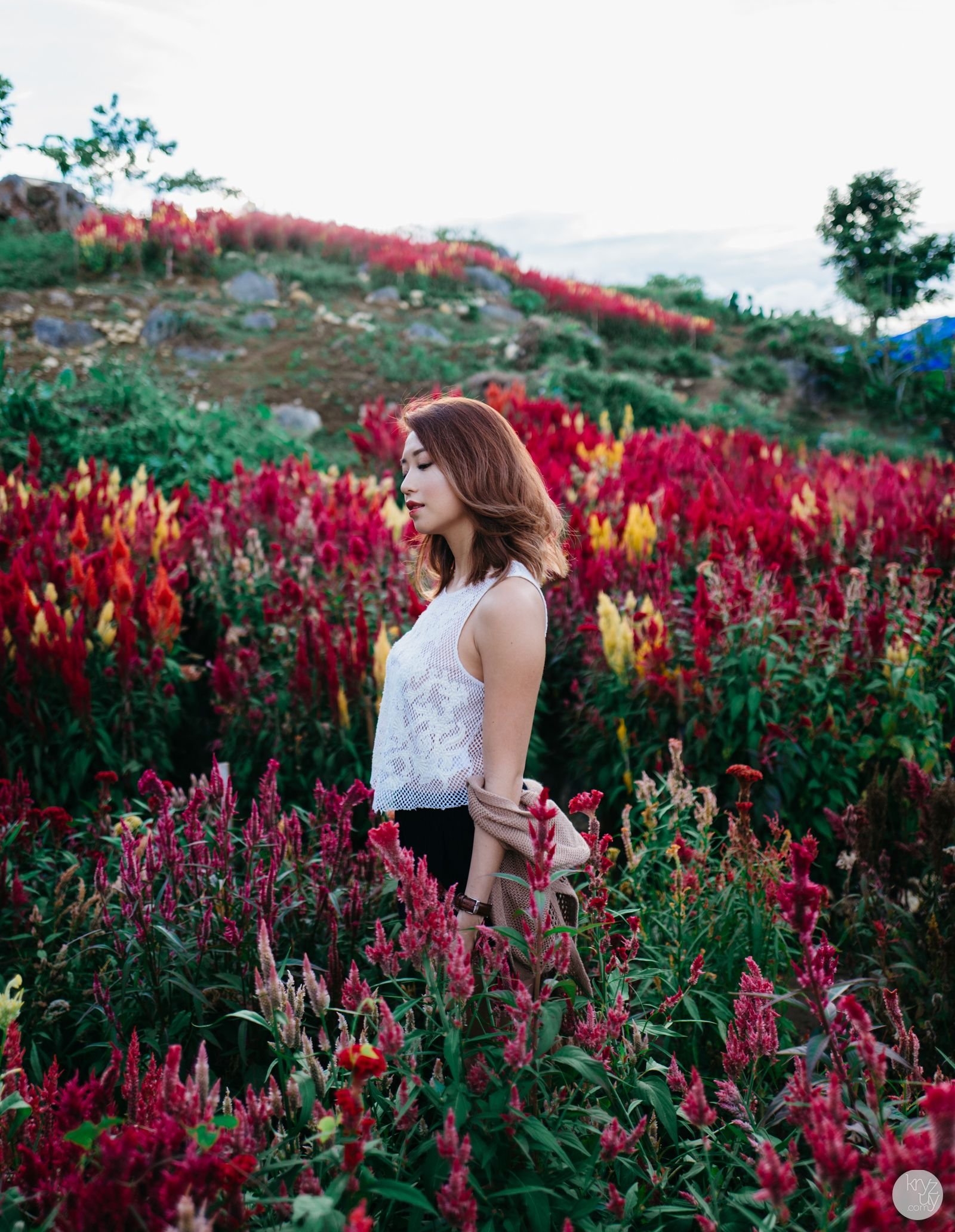 pin by thrifty look on philippines in 2019 | garden, garden