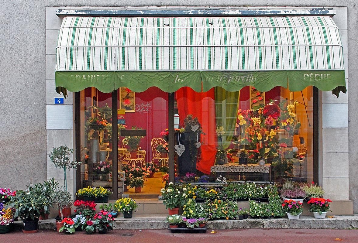 flower shop paintings | lots of plants and flowers to choose from