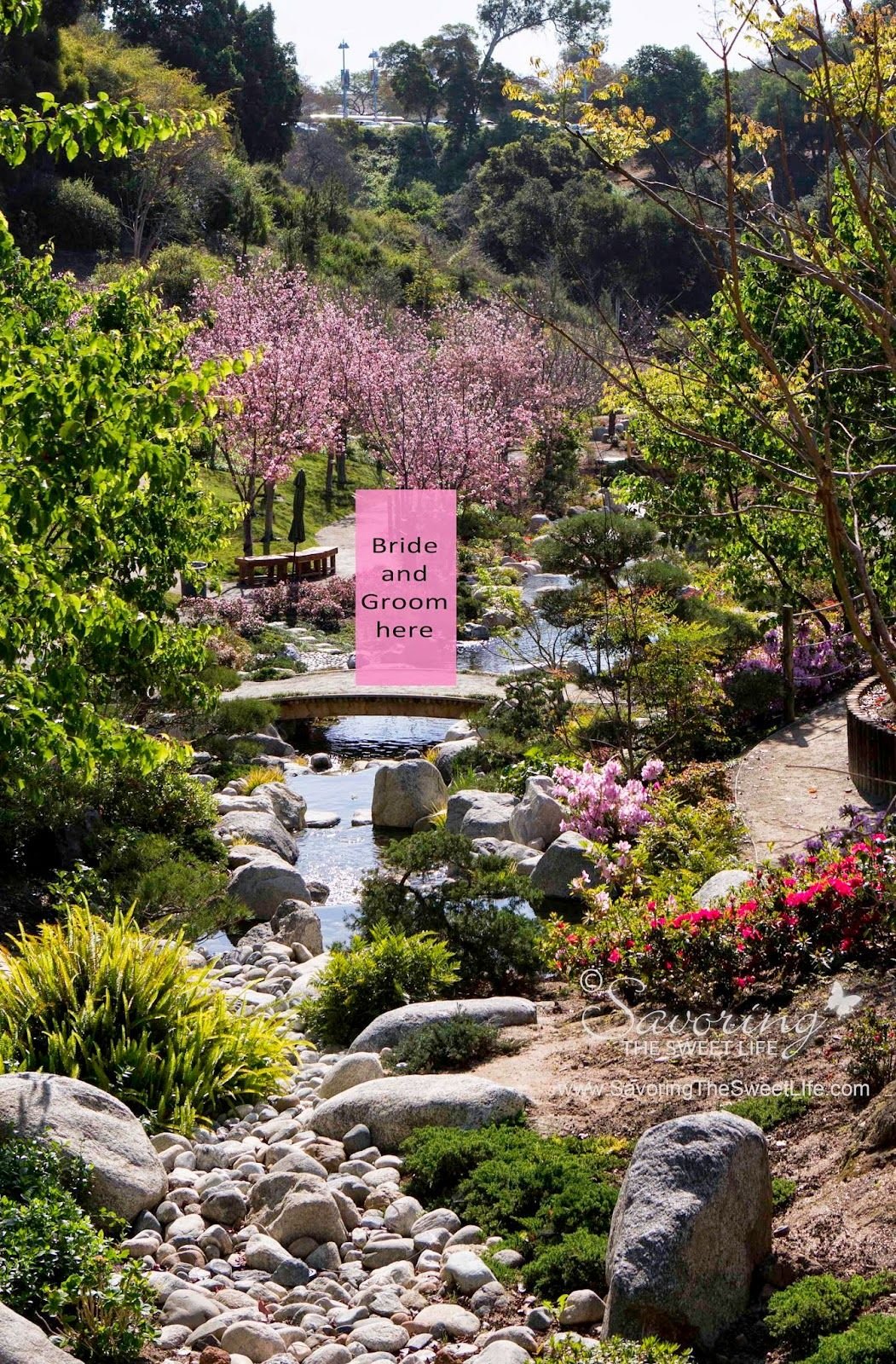 photo | savoring the sweet life: balboa park's japanese friendship