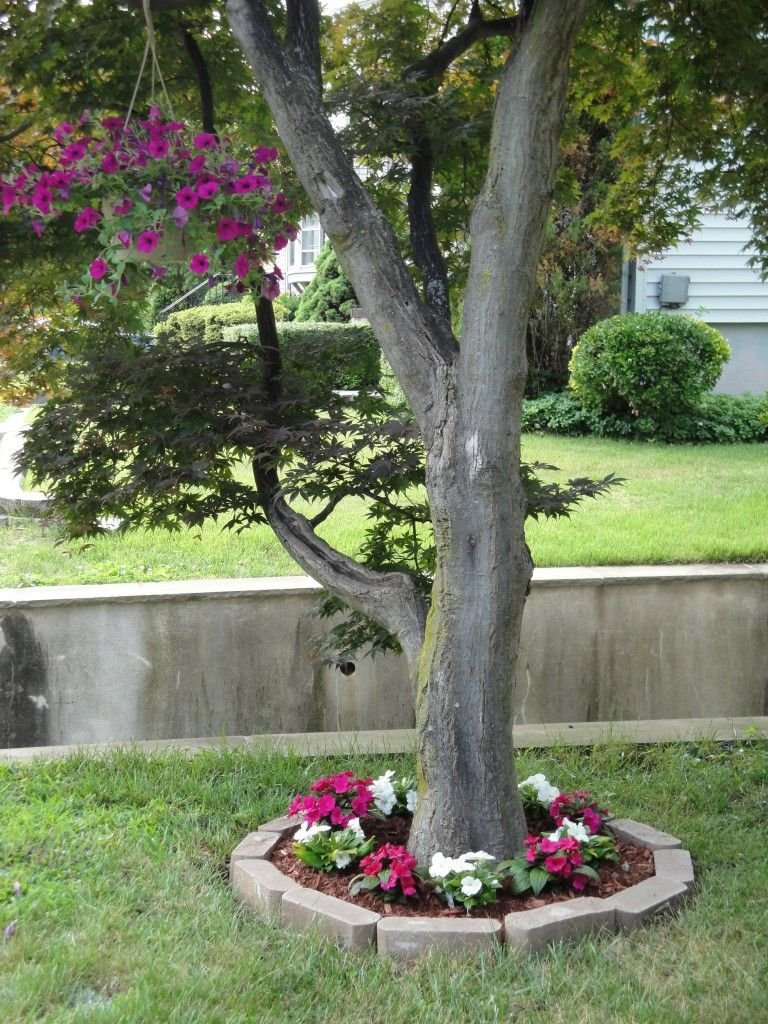 how to make a flowerbed under a tree. would probably lay fabric down