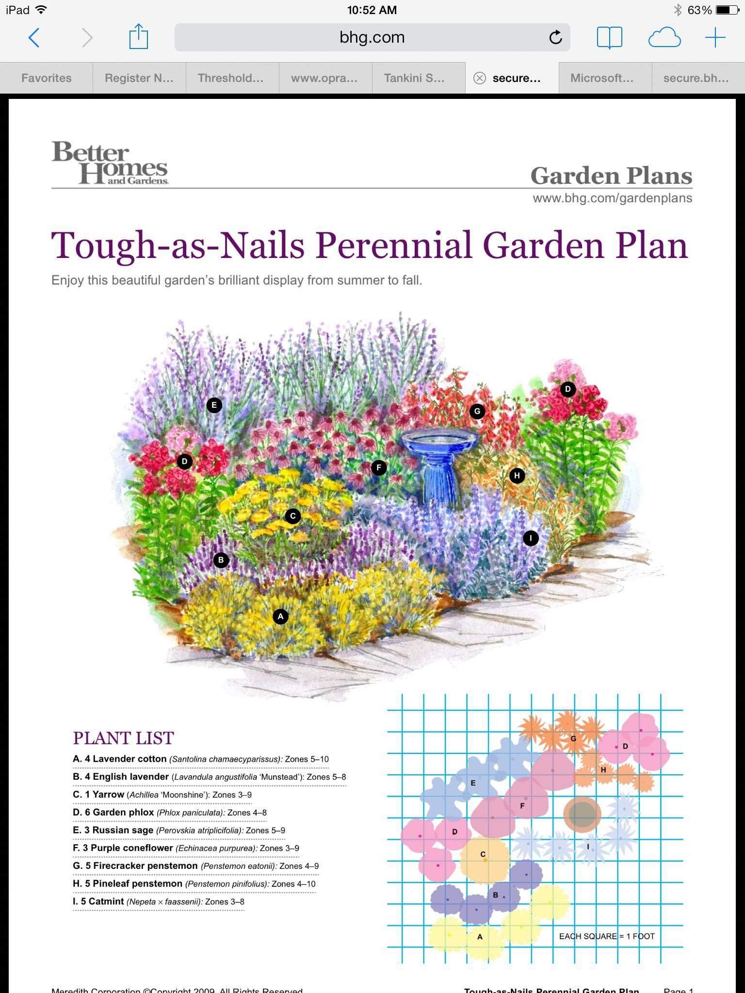 hardy perennial garden plan enjoy summer to fall flowers for your