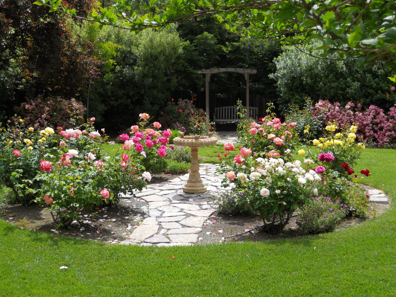 simple design ideas rose garden plans | flowers | rose garden design