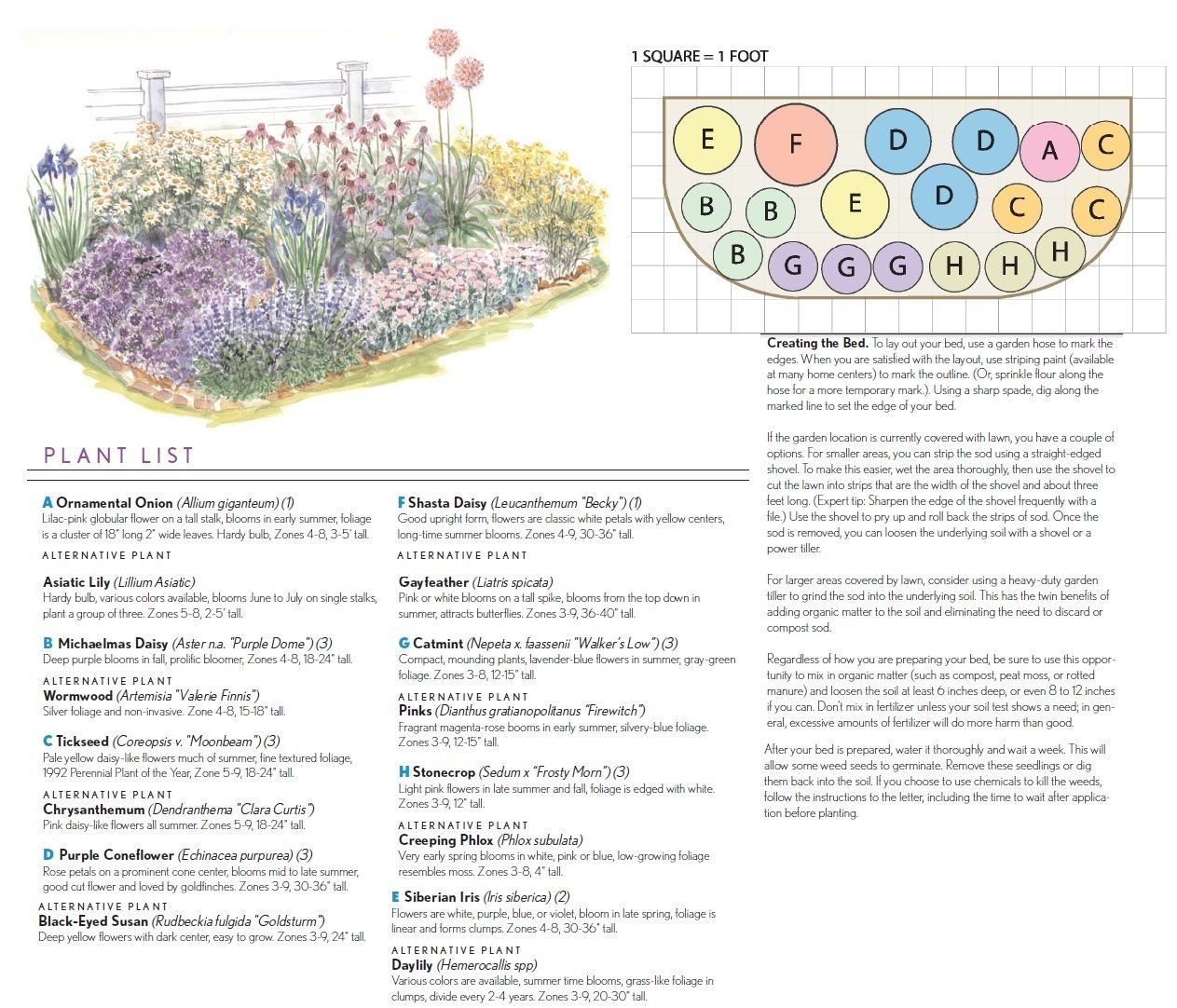 bhg beginning full sun garden plan with pictures and details