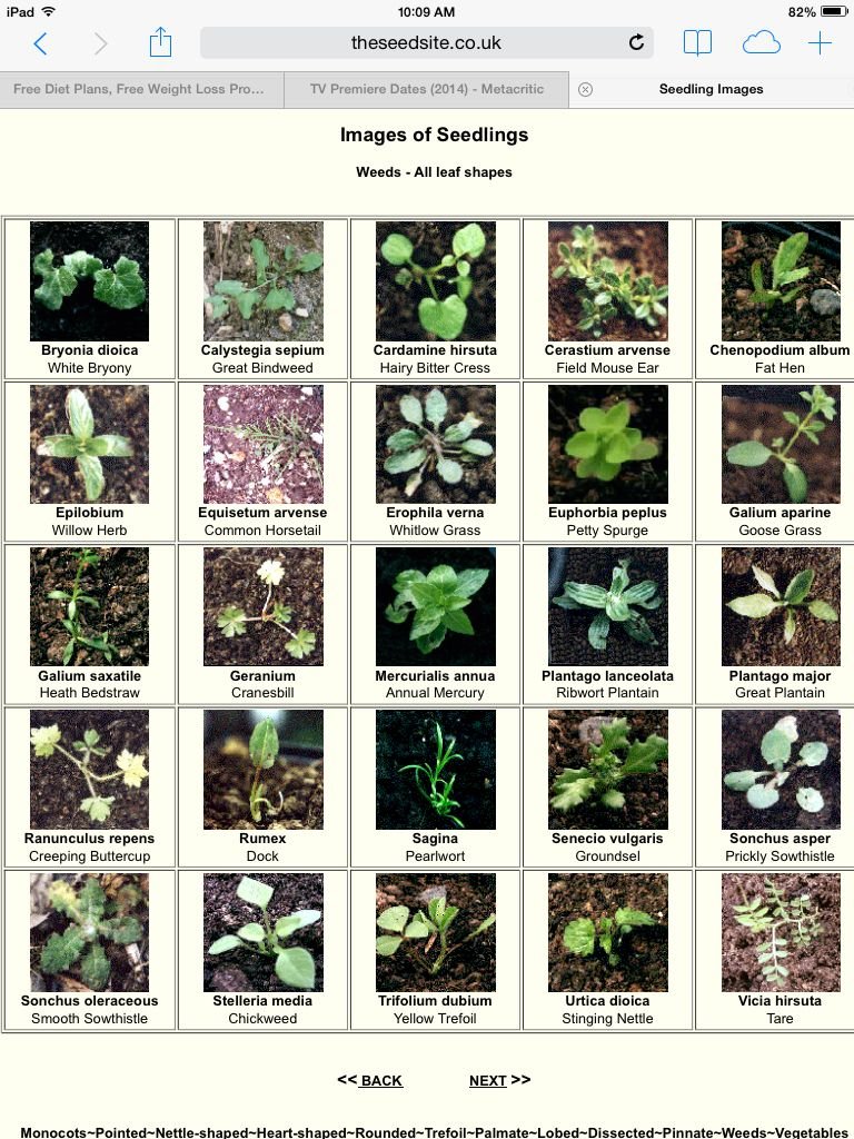 pin by alexa deuso on gardening | garden soil, garden weeds