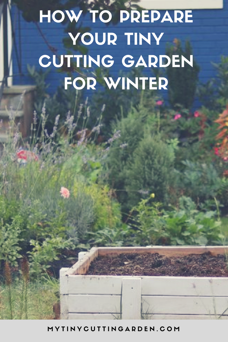 how to prepare your tiny cutting garden for winter | growing cutting