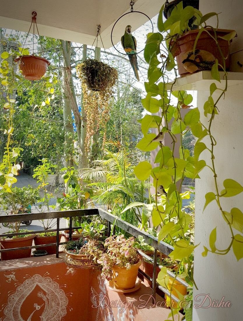 indian balcony garden | home in 2019 | apartment balcony garden