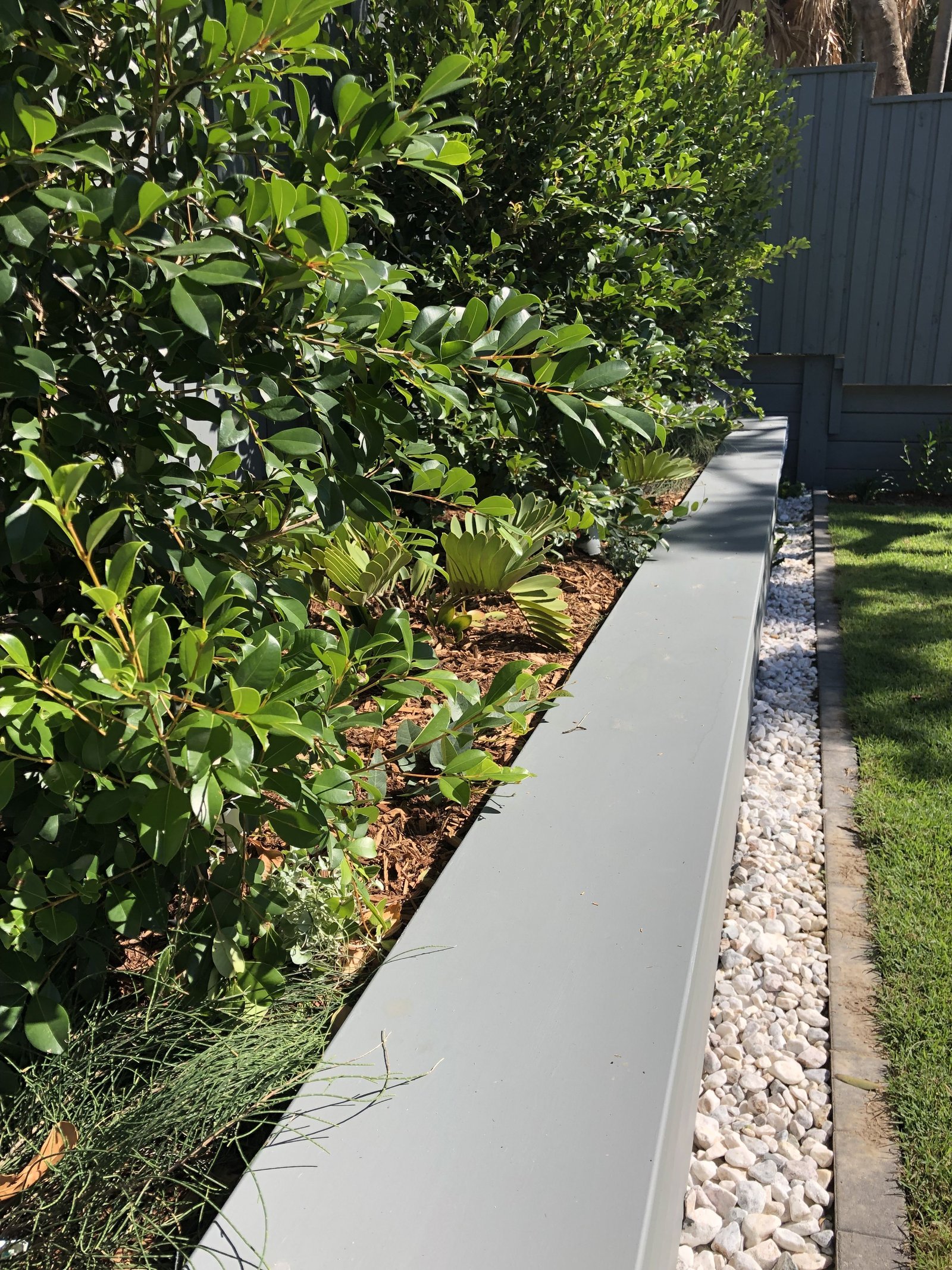 camp hill - garden brisbane | garden on a hill, outdoor, camp hill