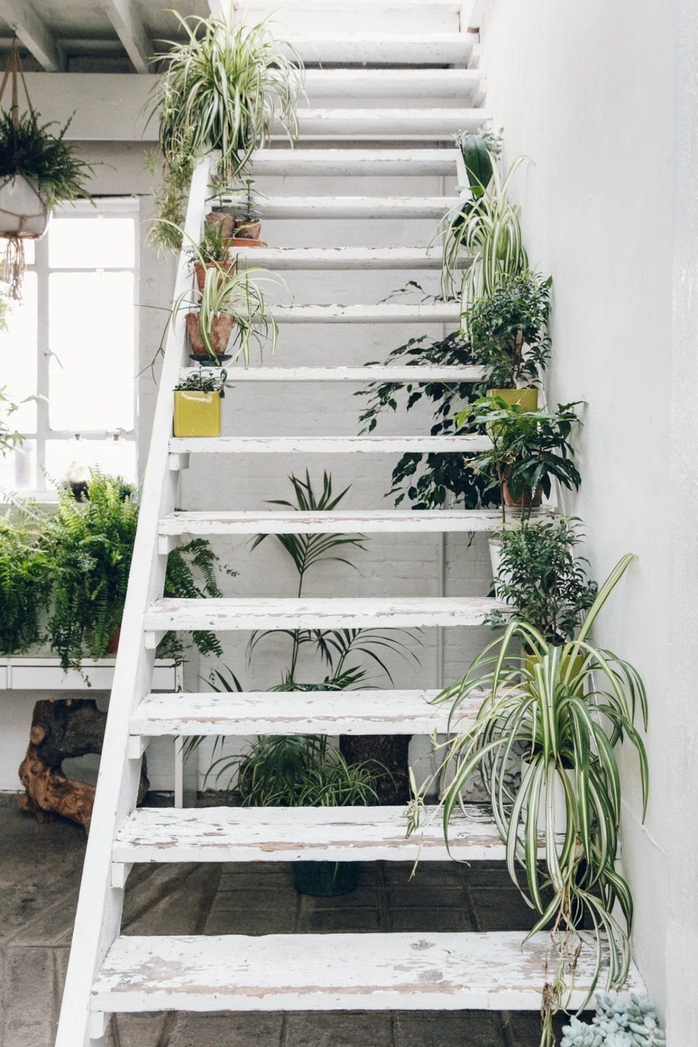 inside clapton tram — a plant-filled warehouse space | mini gardens
