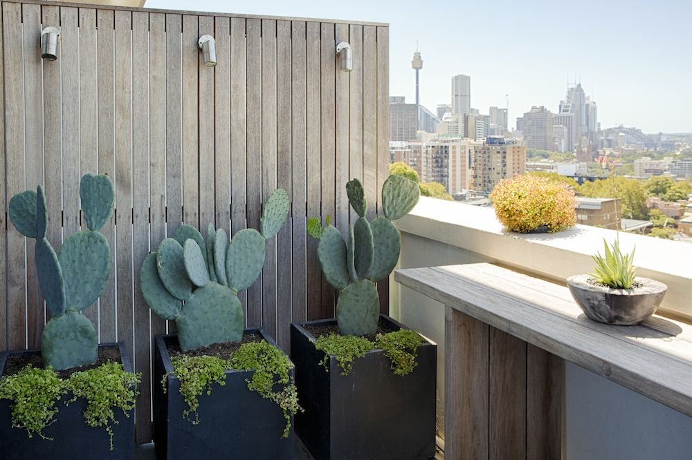 image result for balcony garden sydney | architectural plants, balcony
