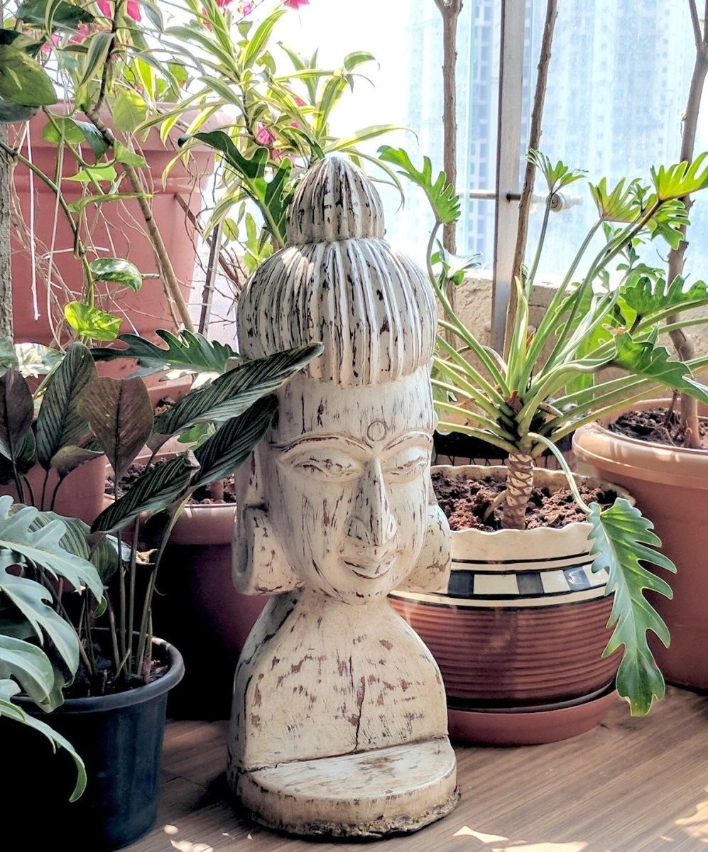 a balcony garden in mumbai - terrace reveal | terrace decor, balcony