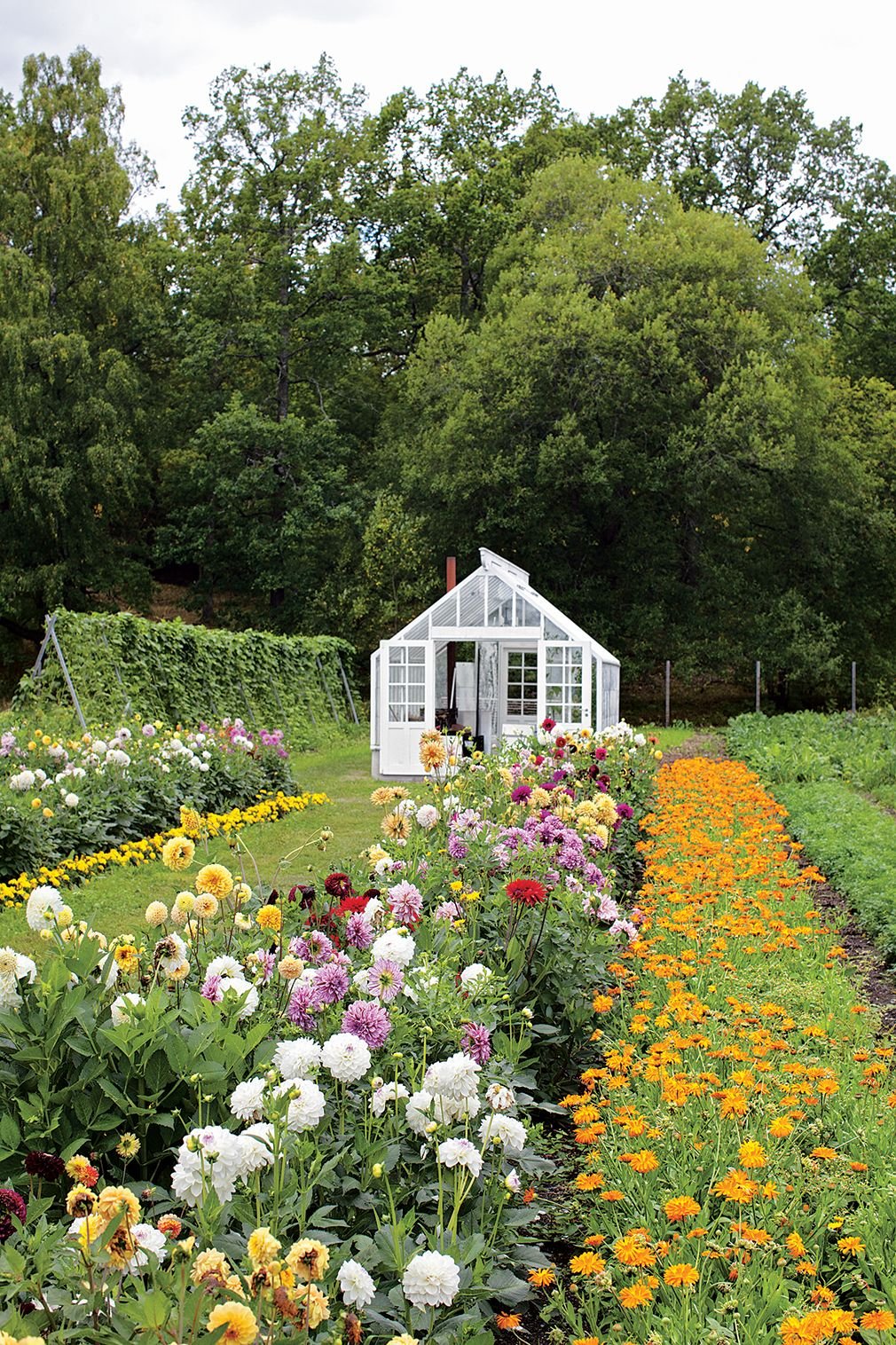 i love all the pretty colors in rows. | someday when i have a yard