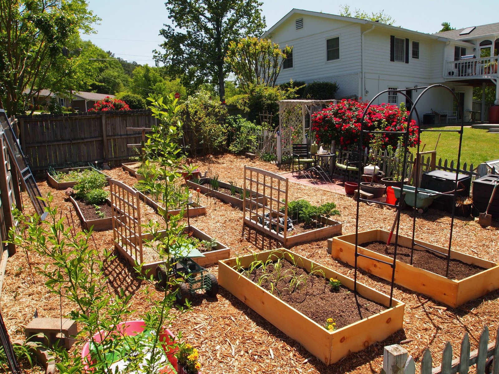 what will my garden grow? | backyard farming inspiration | small