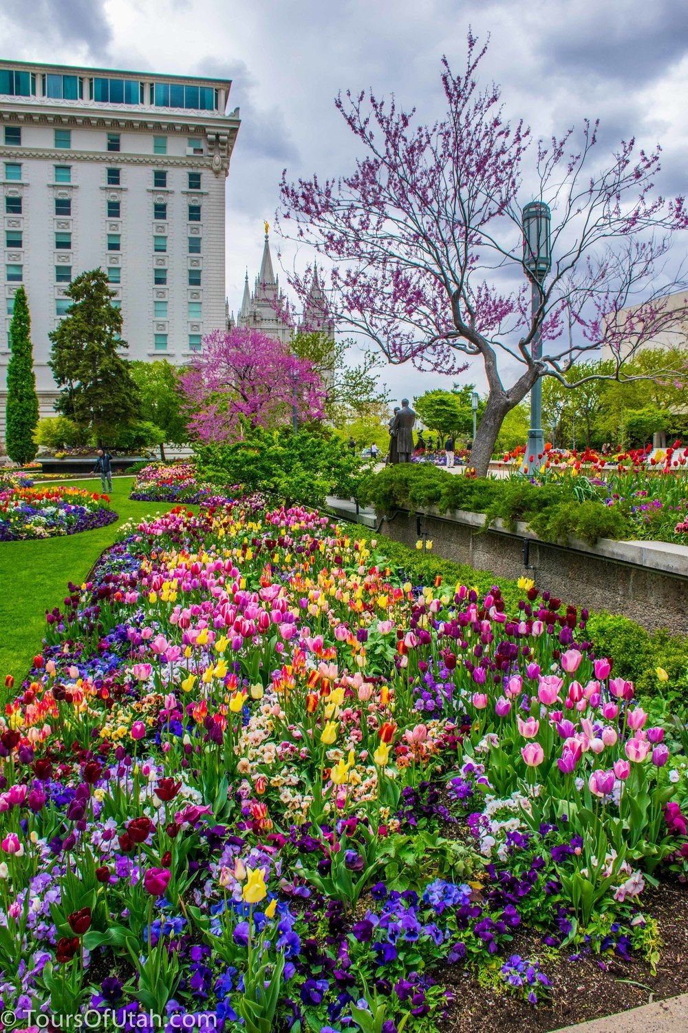 temple square flowers - things to do in salt lake city | laep 1030